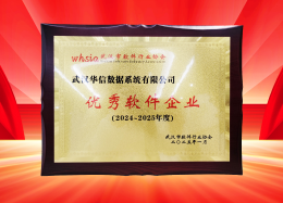 喜讯丨DB真人旗舰 DB数据获评2024~2025年度武汉市软件行业&ldquo;优秀企业&rdquo;、&ldquo;优秀工作者&rdquo;荣誉称号！